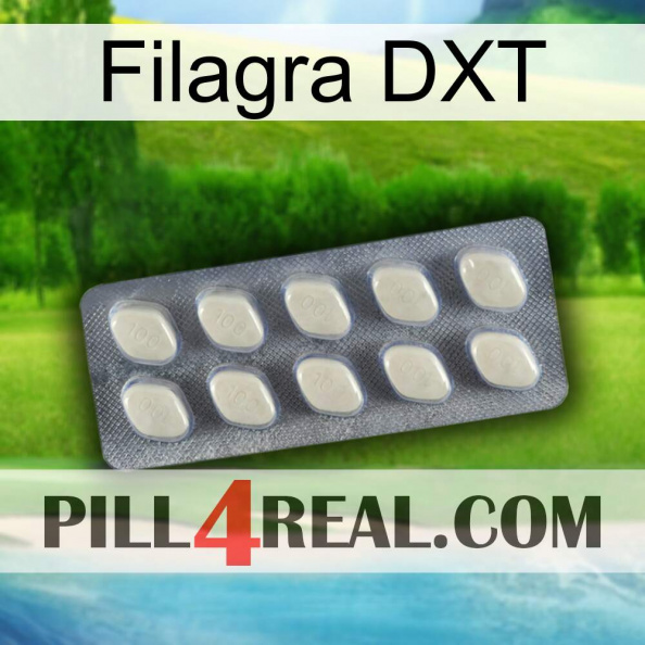 Filagra DXT 08.jpg